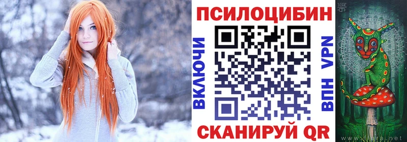Псилоцибиновые грибы Psilocybe  где купить наркотик  Верхоянск 
